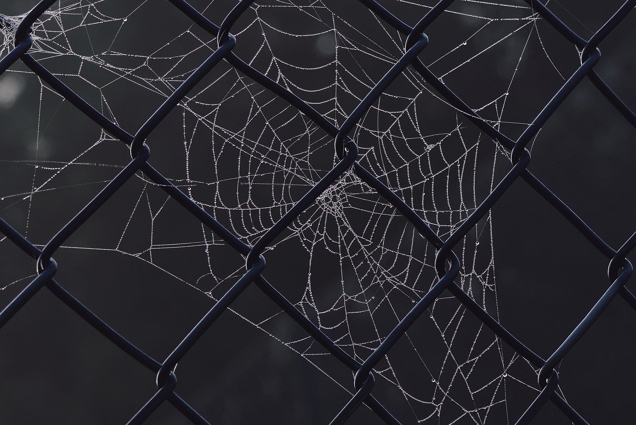 spider web, dewdrop, fence