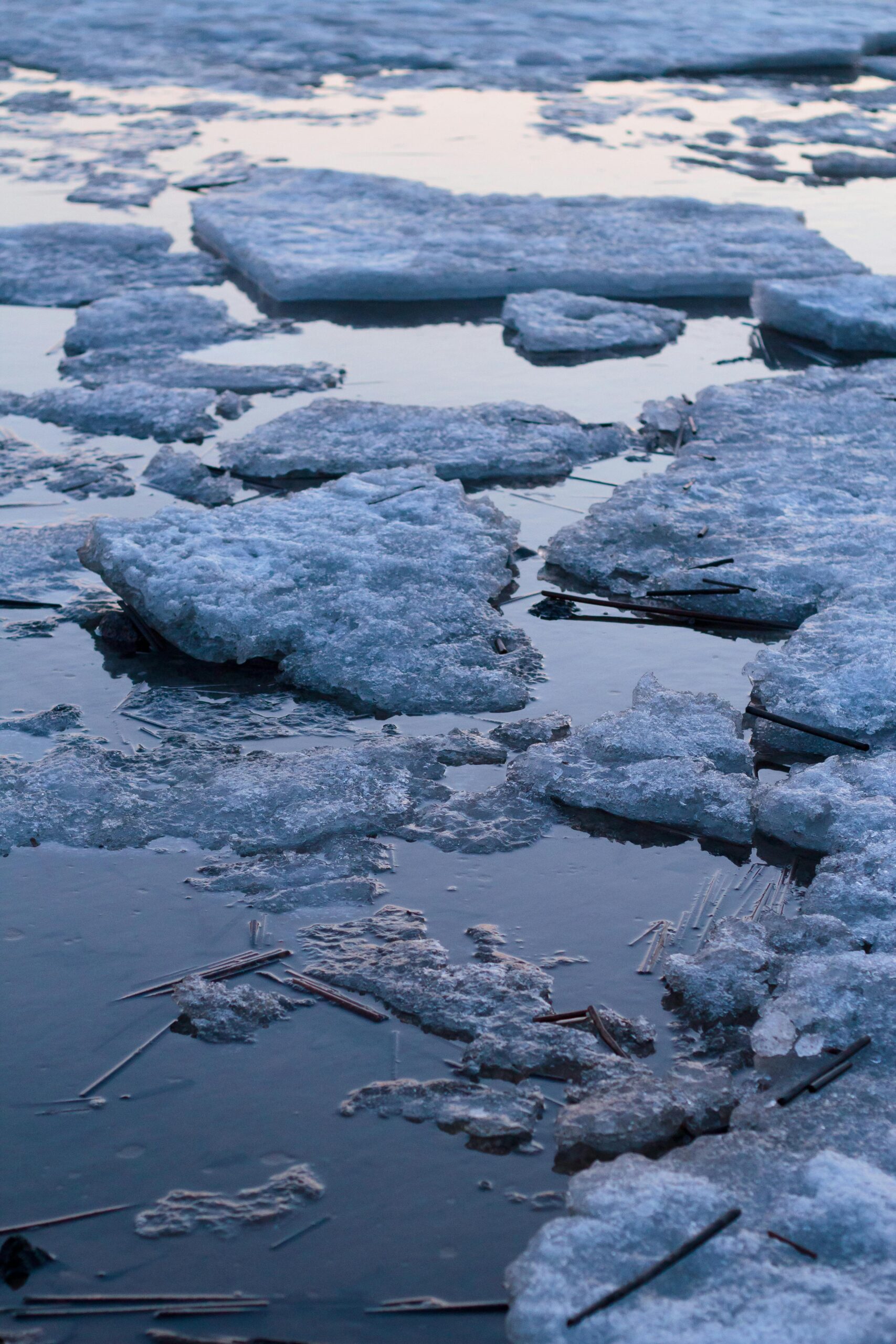 Close-up of icy waters with floating snow-covered ice chunks on a serene winter evening.